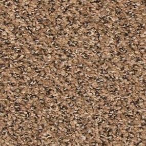 Texture Crunch Brown Carpet