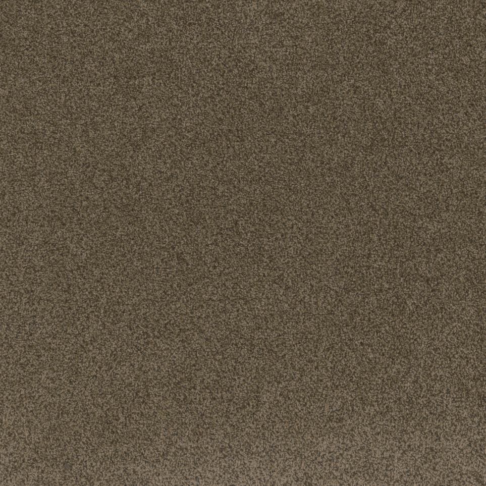 Texture Avondale Brown Carpet