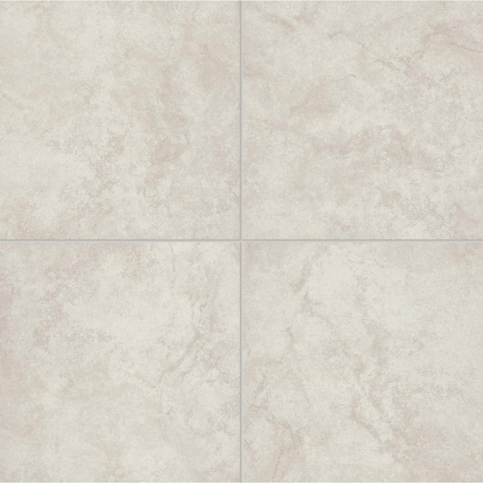 Tile Portrait White Matte White Tile