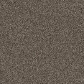 Textured Saxony Stately Beige/Tan Carpet
