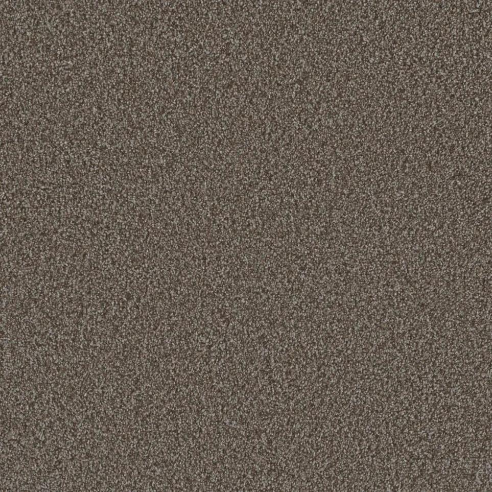 Textured Saxony Stately Beige/Tan Carpet