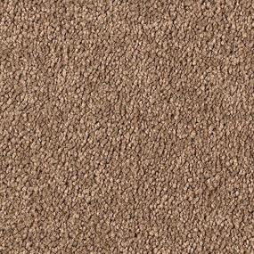 Textured Saxony Performance Brown Carpet