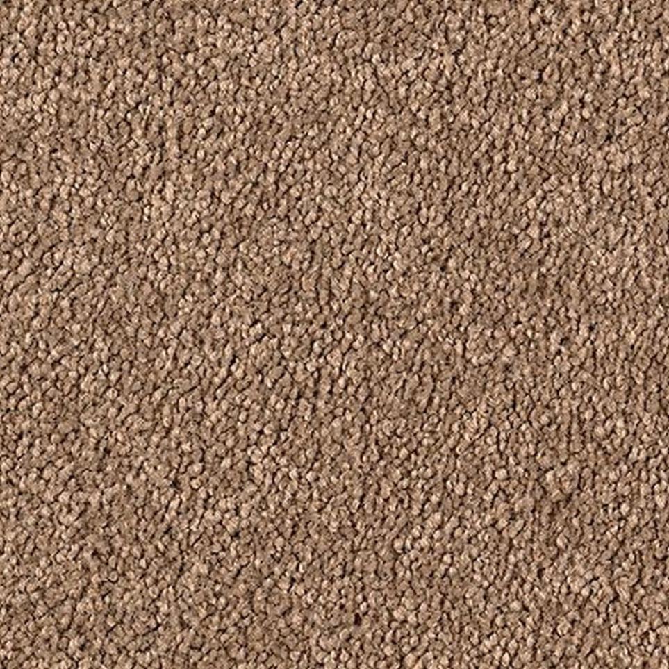 Textured Saxony Performance Brown Carpet