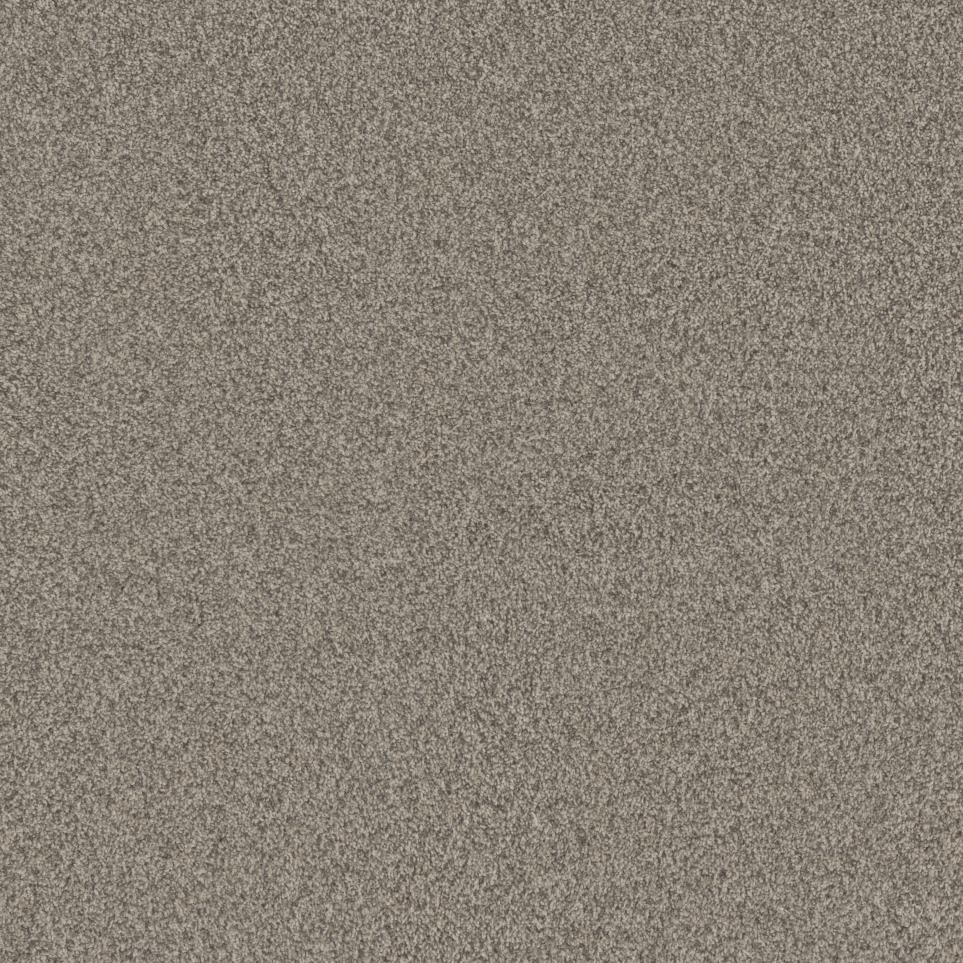 Texture Coin Beige/Tan Carpet