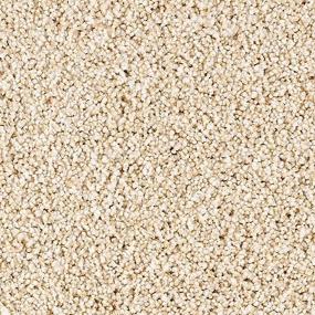 Textured Saxony Daydream Beige/Tan Carpet