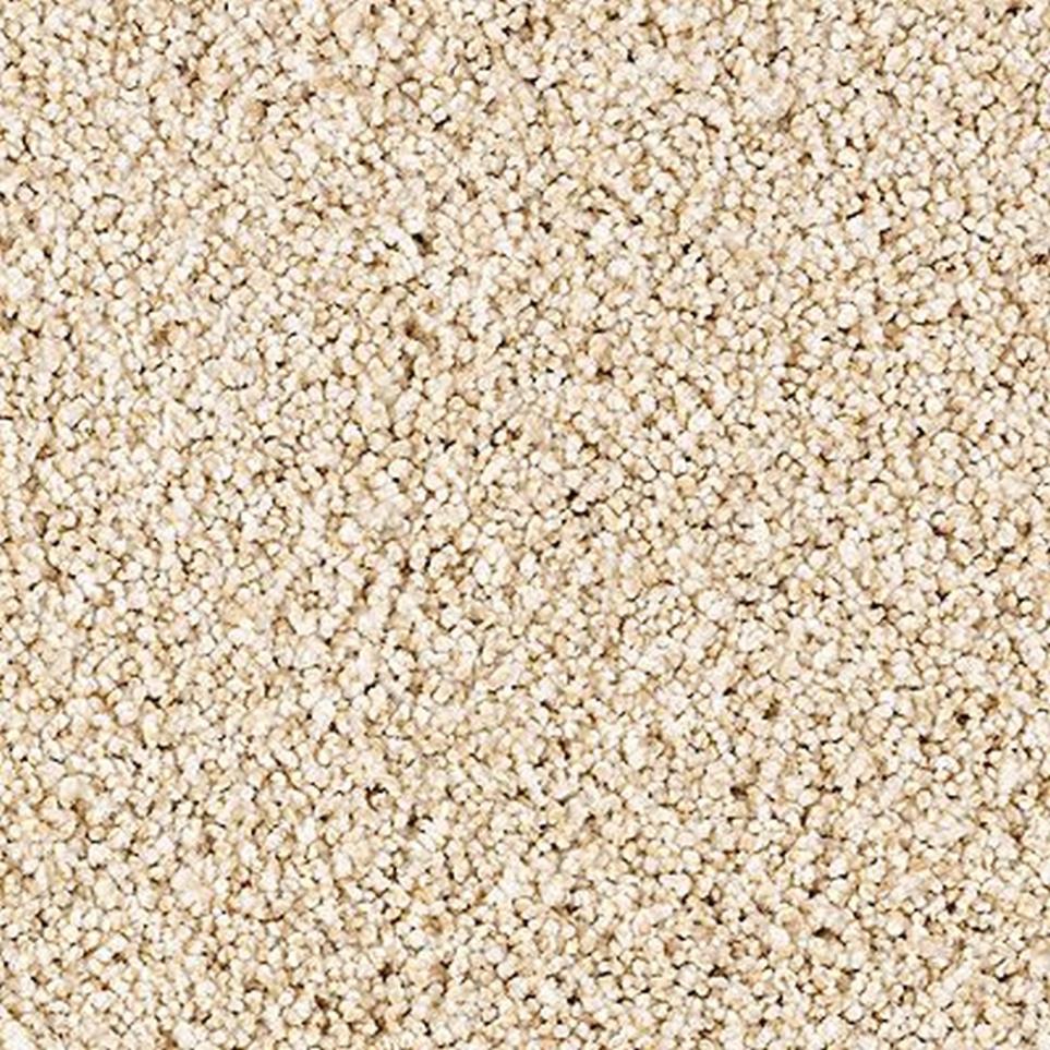 Textured Saxony Daydream Beige/Tan Carpet