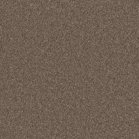 Textured Saxony Black Walnut Brown Carpet