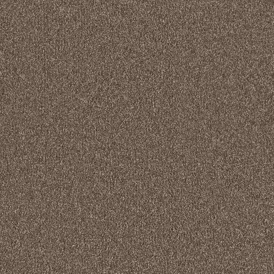Texture Black Walnut Brown Carpet