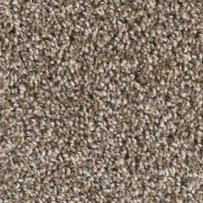 Textured Saxony Reform Brown Carpet