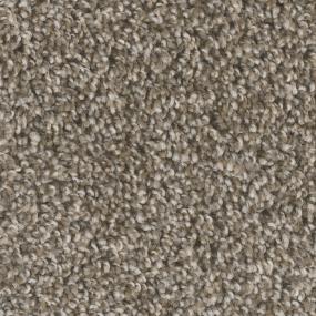 Textured Saxony Reform Brown Carpet