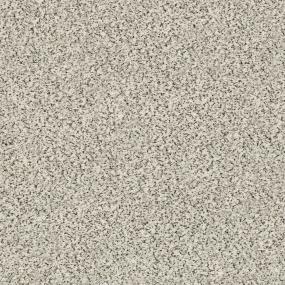 Textured Saxony Genteel Beige/Tan Carpet