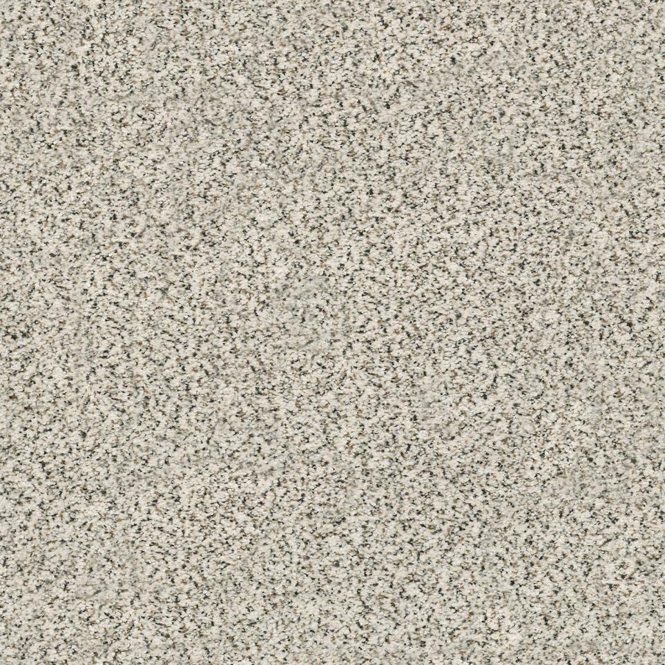 Texture Genteel  Carpet