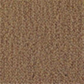 Texture  Beige/Tan Carpet