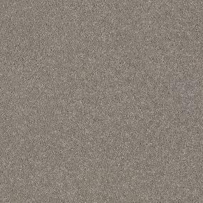 Textured Saxony Magnet Gray Carpet