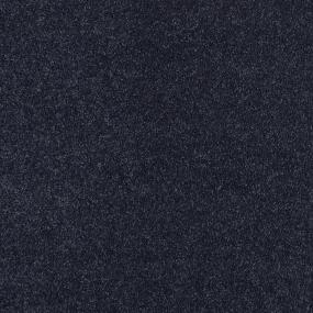 Textured Saxony Navy Purple Carpet