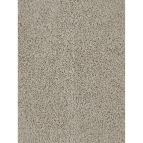 Textured Saxony Timely Beige/Tan Carpet