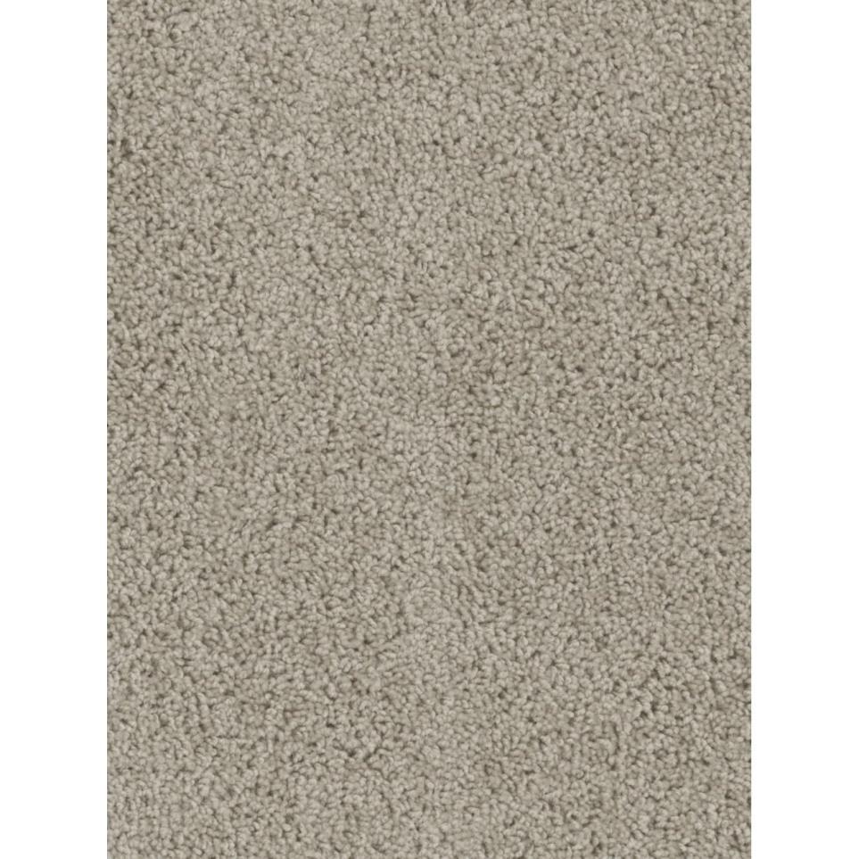 Textured Saxony Timely Beige/Tan Carpet