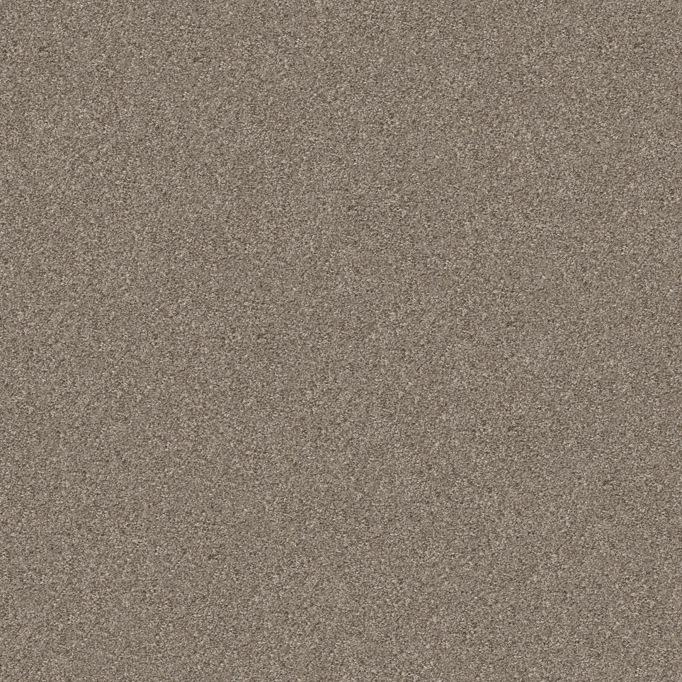 Texture Cozy Room Beige/Tan Carpet