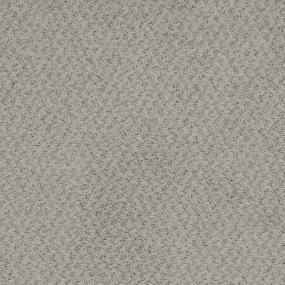 Pattern Dove Gray Carpet