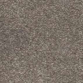 Textured Saxony Sparrow Gray Carpet