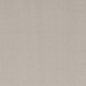 Loop White Pine White Carpet
