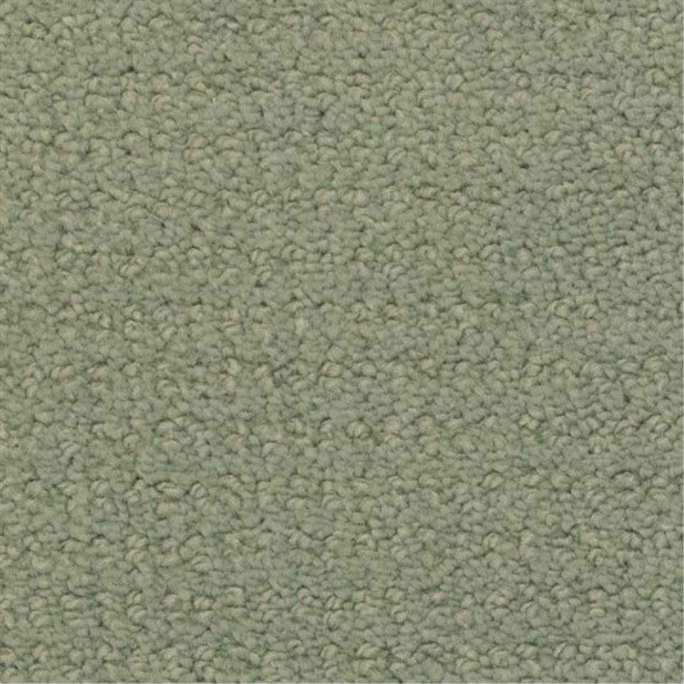 Pattern Balsam Green Carpet