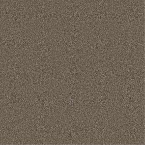 Plush Saxony Cottage Brown Carpet