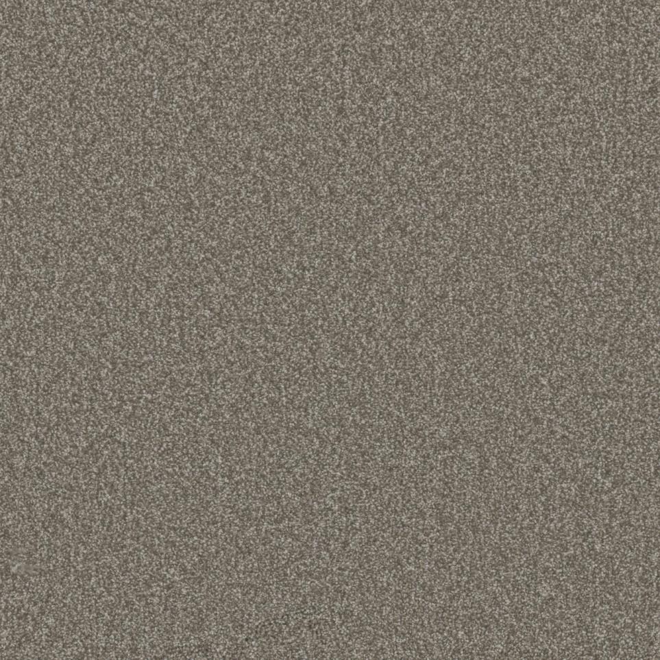 Textured Saxony Enthral Beige/Tan Carpet