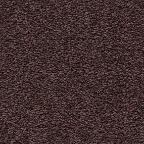 Textured Saxony Intrigue Brown Carpet