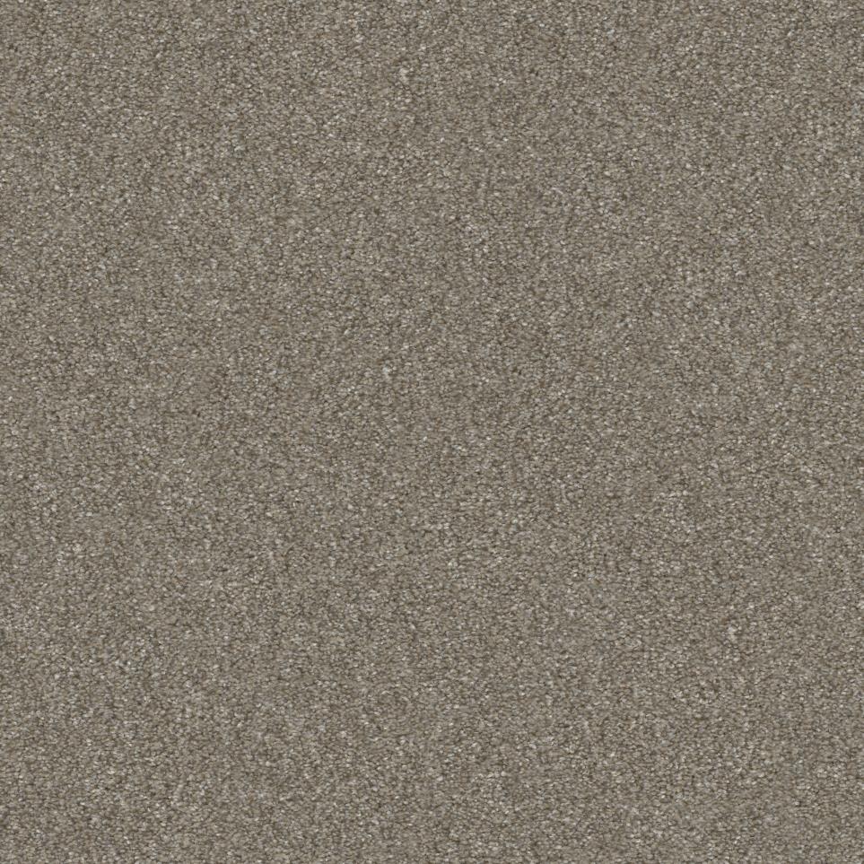 Texture Catnip Beige/Tan Carpet
