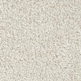 Textured Saxony Frozen Dew Beige/Tan Carpet