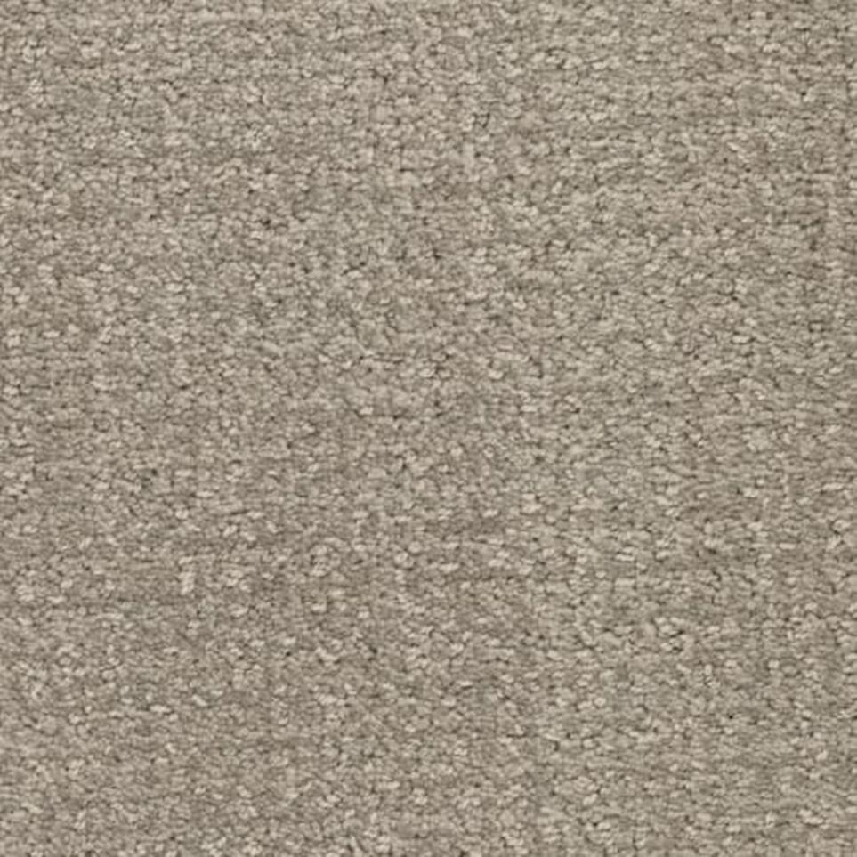 Pattern Rebarkable Brown Carpet