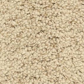 Casual Texture Immortal Beige/Tan Carpet
