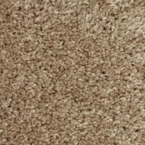 Texture Worthy Beige/Tan Carpet