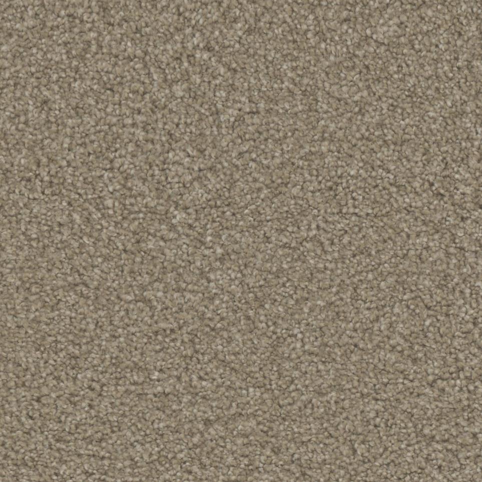 Texture Worthy Beige/Tan Carpet