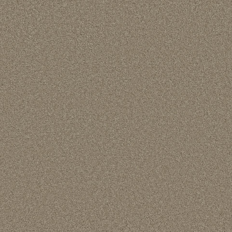 Texture Worthy Beige/Tan Carpet