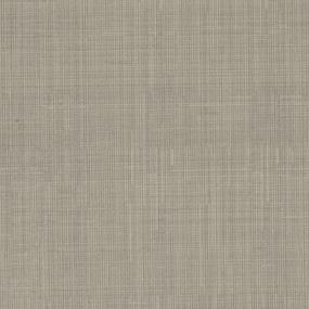 Berber Dove Beige/Tan Carpet