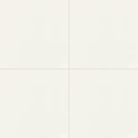Tile Frost White Matte White Tile