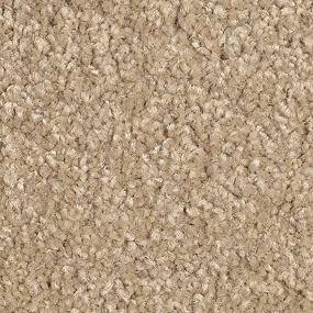 Textured Saxony Tapestry Brown Carpet