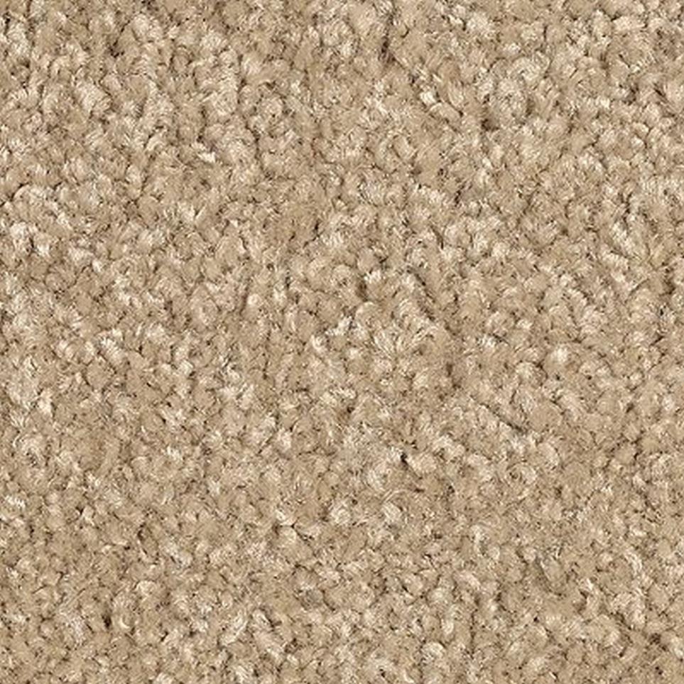 Textured Saxony Tapestry Brown Carpet
