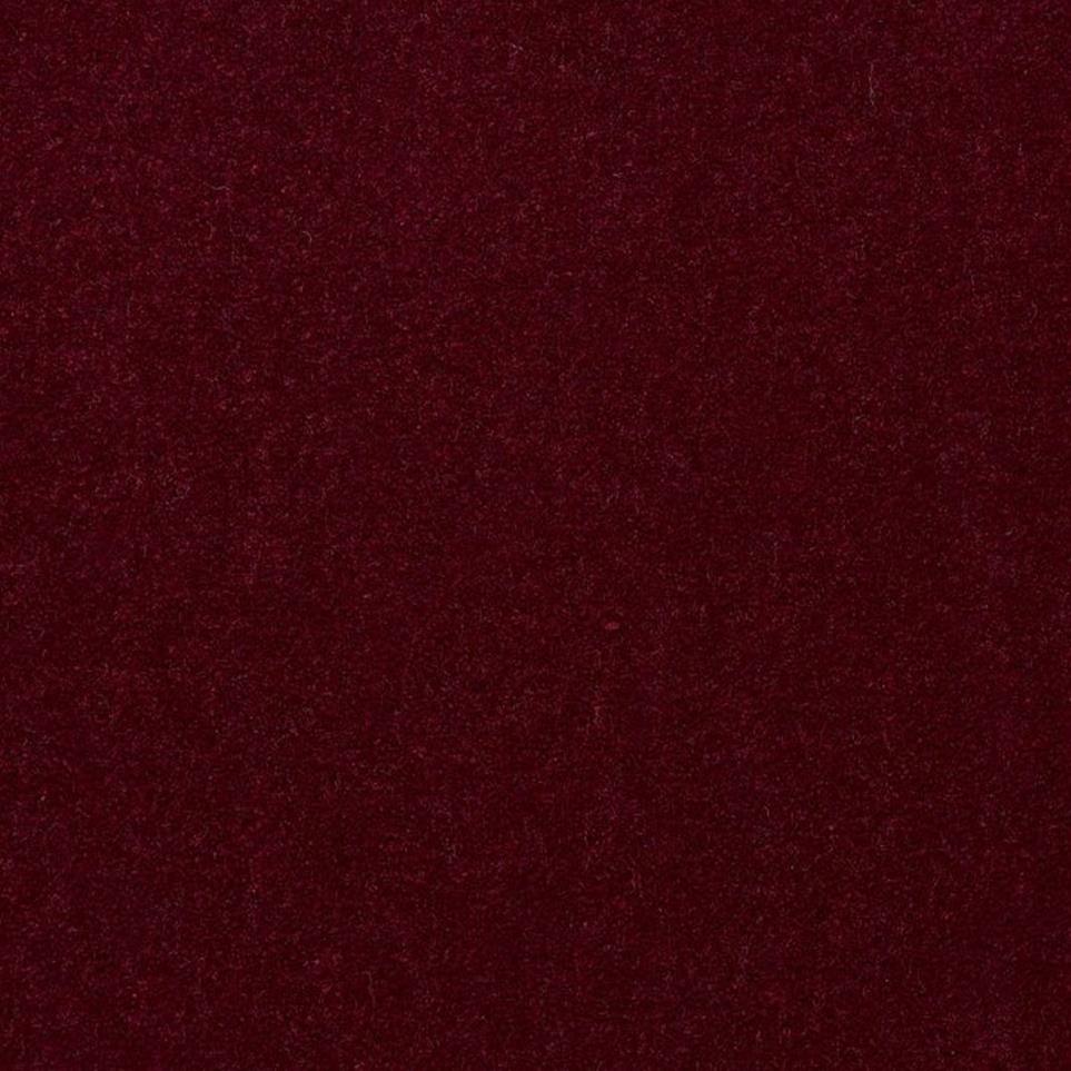 Cut Pile Eggplant Black Carpet