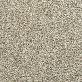 Sawdust