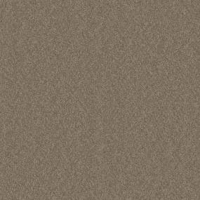 Casual Texture Explore Beige/Tan Carpet
