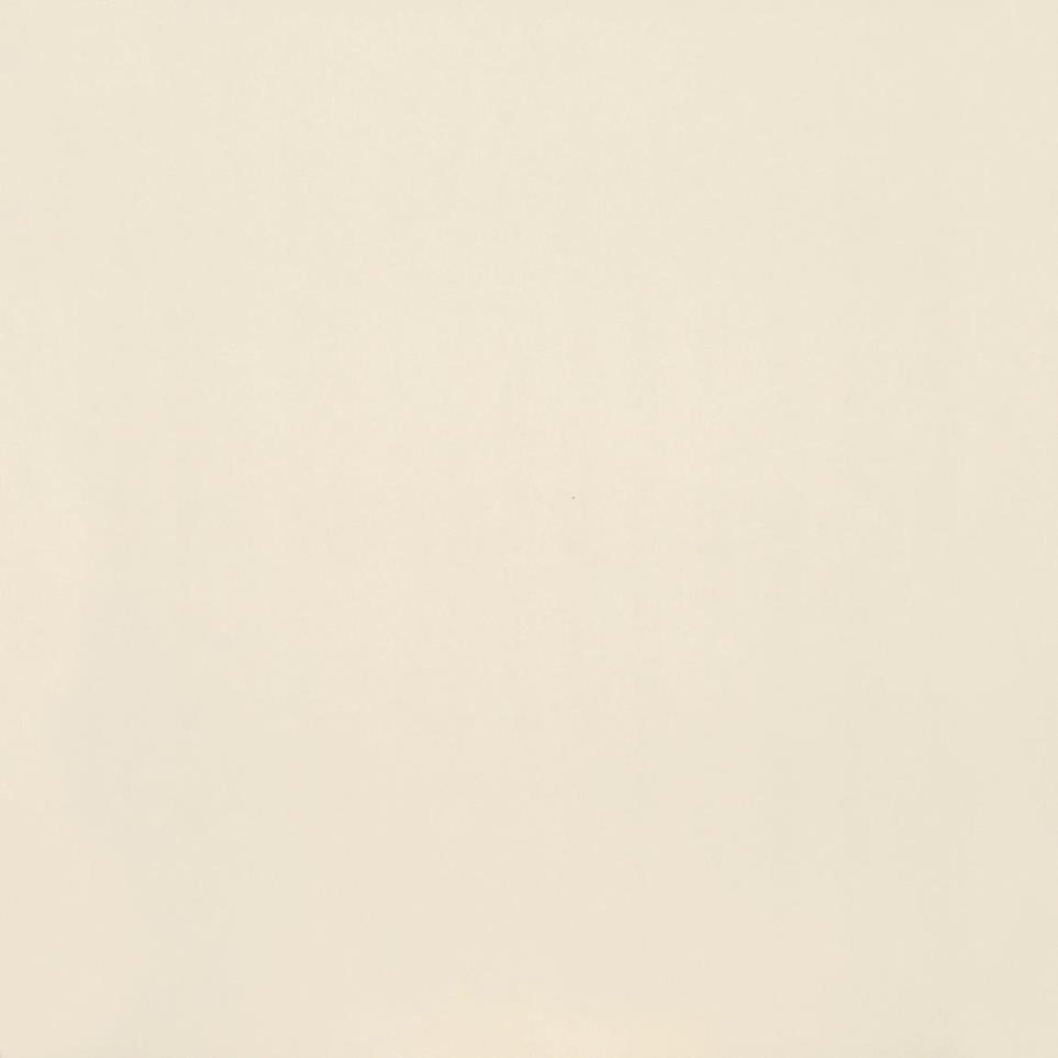 Tile Paint Matte Beige/Tan Tile