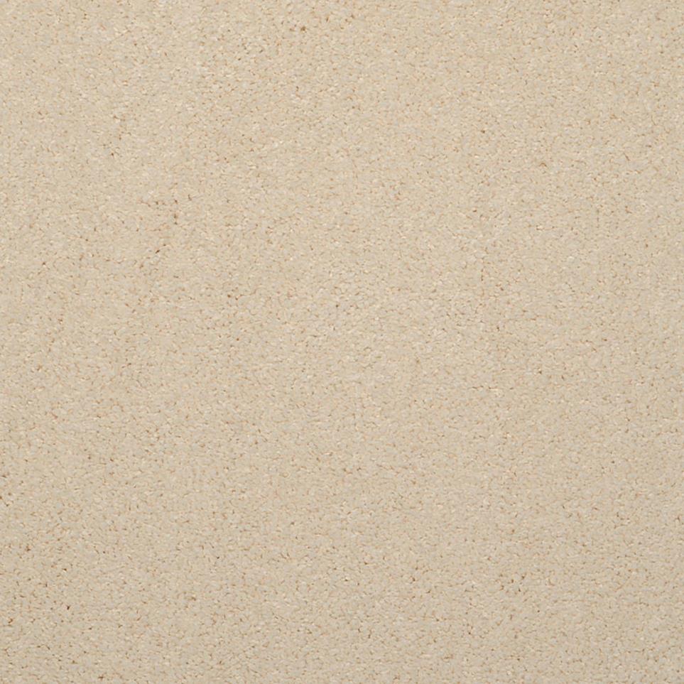 Casual Texture Buttery Beige/Tan Carpet