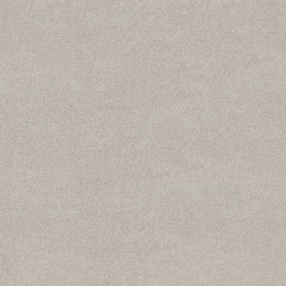 Texture Patagonia Gray Carpet