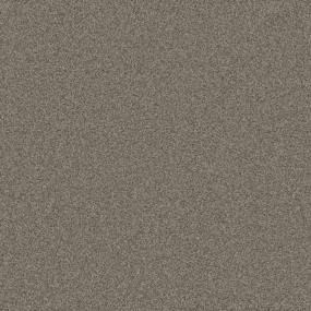 Textured Saxony Aspen Gray Carpet