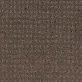 Pattern Ore Brown Carpet