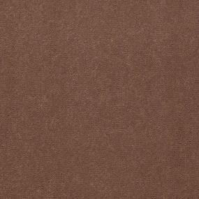 Cut Pile Cocoa Brown Carpet