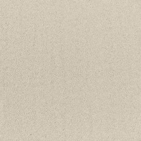 Textured Saxony Oatmeal Beige/Tan Carpet